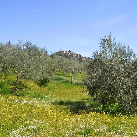 3 Bedroom Gorgeous In St, Maria In Tiberina Holiday home *