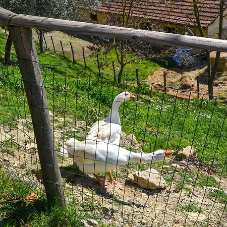Fienile Monte Santa Maria Tiberina