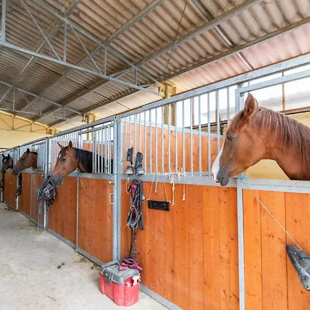 Fienile Monte Santa Maria Tiberina